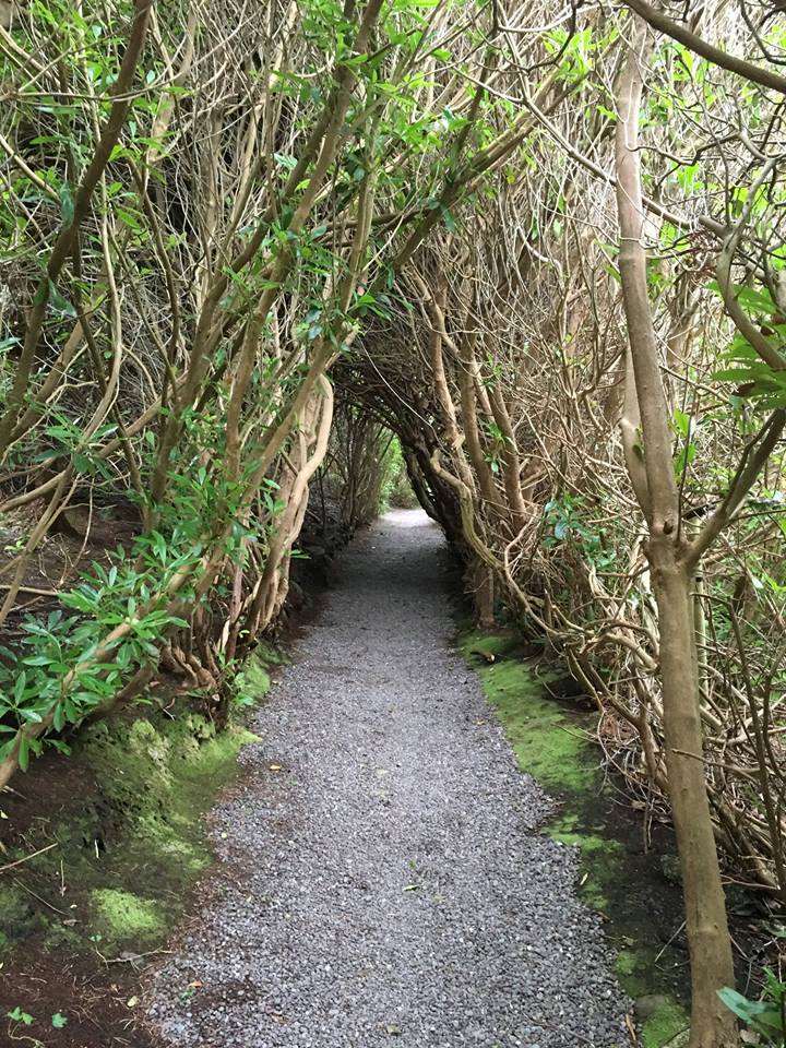 Carrig Country House & Restaurant Killorglin Ausstattung foto